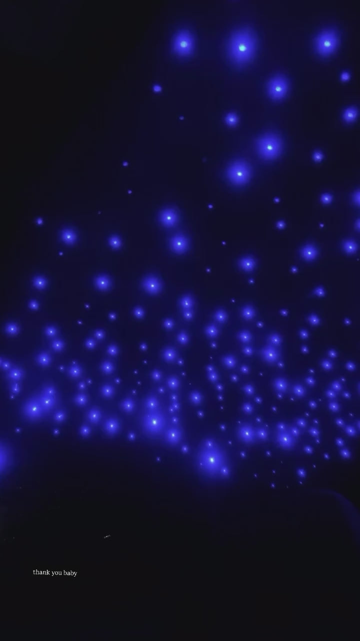 ✨ Starlight Headliner Installation — Local Philadelphia Service | Starting at $600